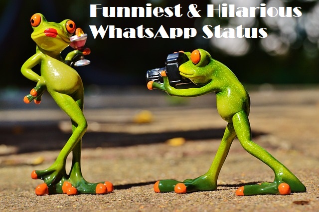 WhatsApp Funny Statuses to make friends laugh.