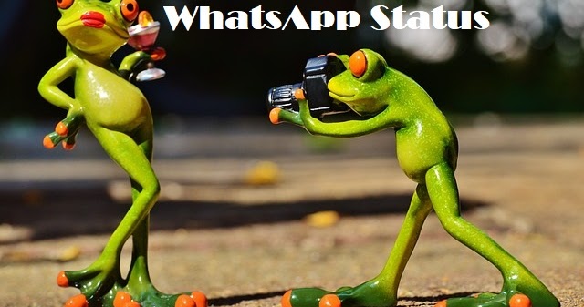 funniest whatsapp status messages