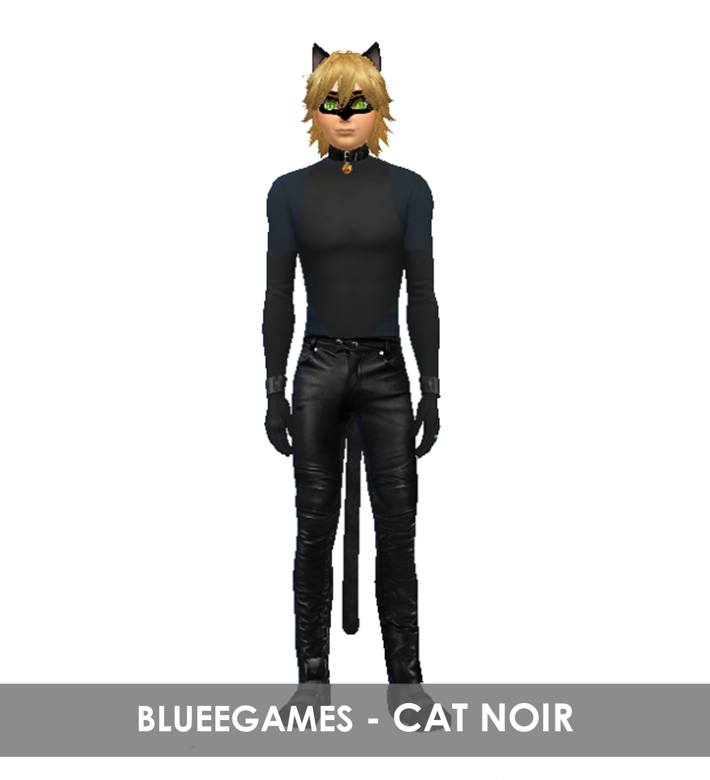 BlueeGames: Miraculous Adrien Cat Noir SIM.