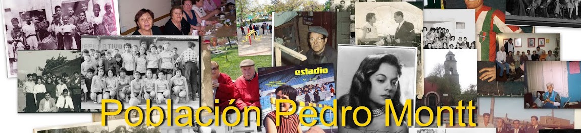 Población Pedro Montt