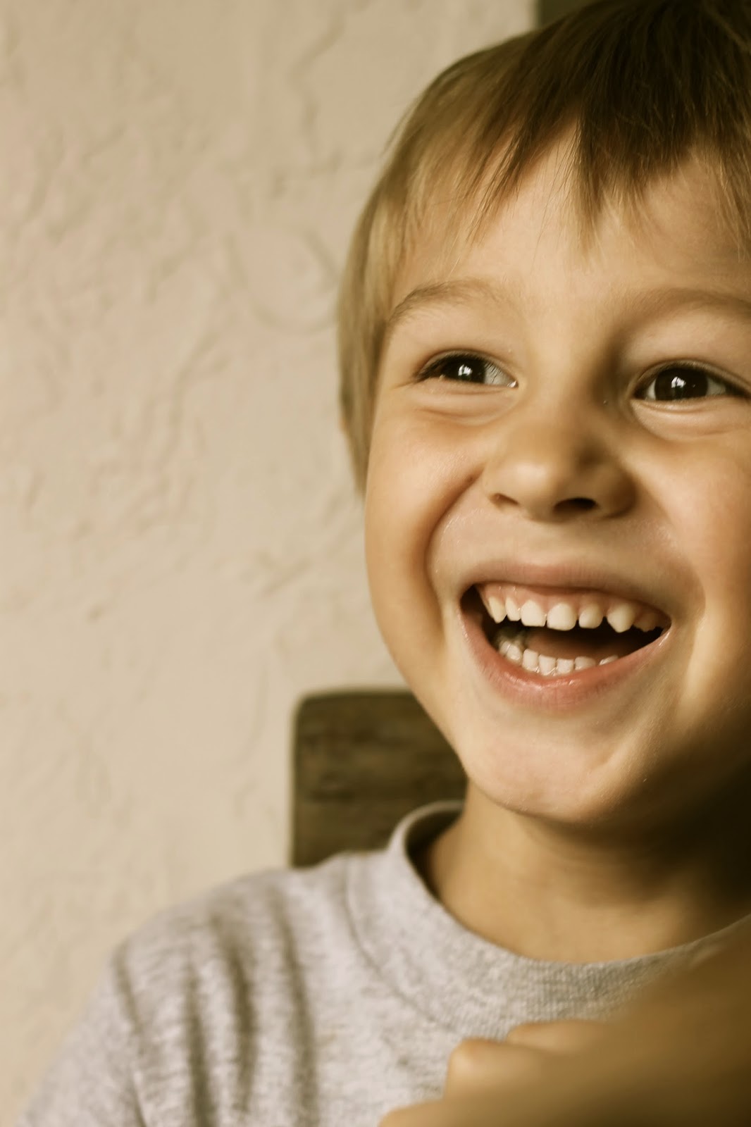 Where Your Treasure Is Animal Crackers and Cocoa to Drink