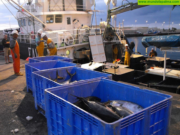 CC-PNC lamenta que España rechace en Europa un acuerdo para un reparto justo de cuota del atún rojo
