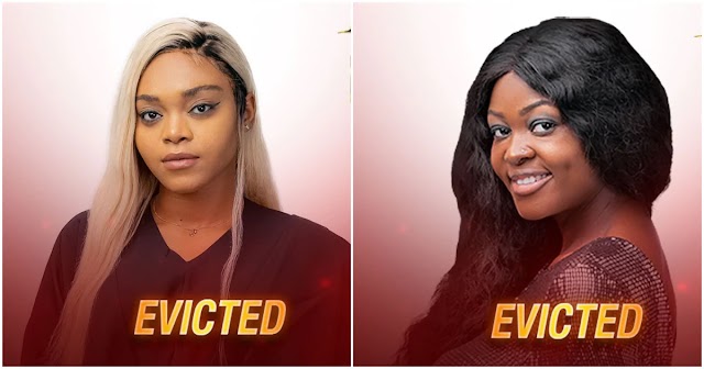 BBNaija2020: Moment housemates voted two contestants out of Big Brother's house (video)