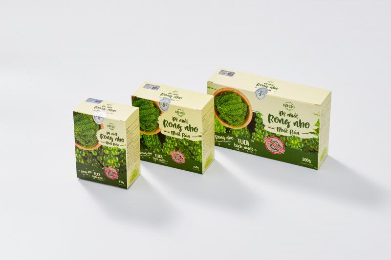 [Nhập Sỉ] Rong nho Namiso