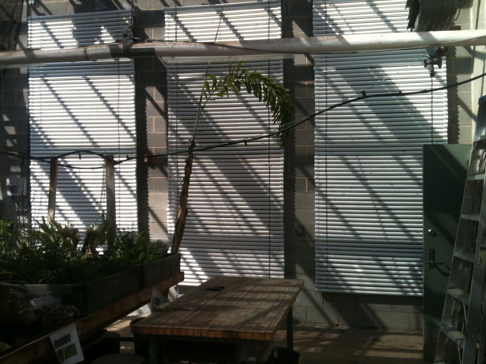 View of fashioning a greenhouse: Installation of phase change materials at AB ...