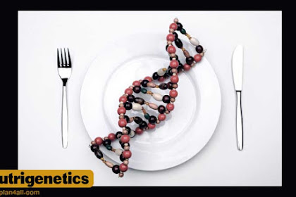 مفهوم علم الوراثة التغذويّة