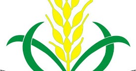 Lambang Nasyiatul Aisyiyah dan Artinya - SekolahMuOnline