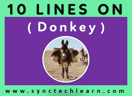 donkey essay in english 150 words