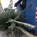 Έκκληση του Δήμου Θεσ/νίκης να μη πετιούνται τα χριστουγεννιάτικα δέντρα στους κάδους - Θα ανακοικλώνονται