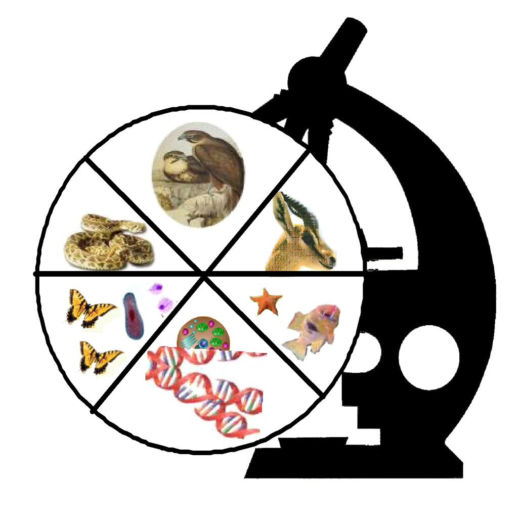 zoology clipart - photo #2