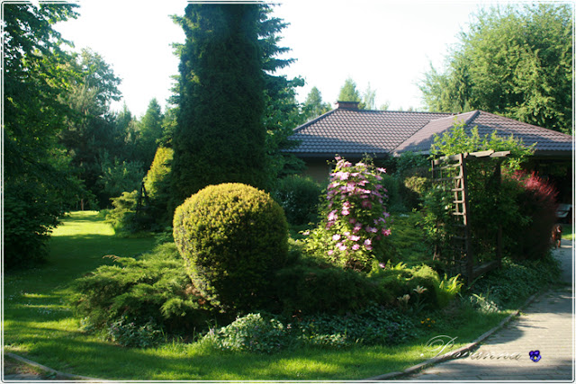 My garden before and after 20 years