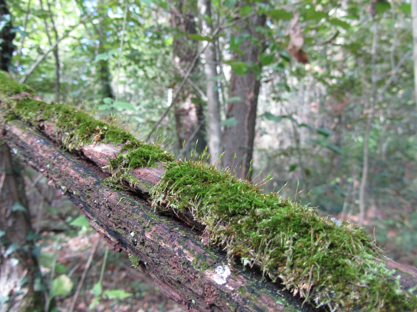 book General Surgery Outpatient