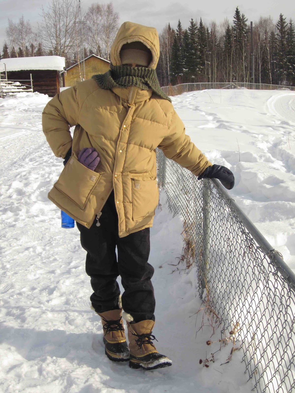 Fairbanks Dreaming Spring Melancholy