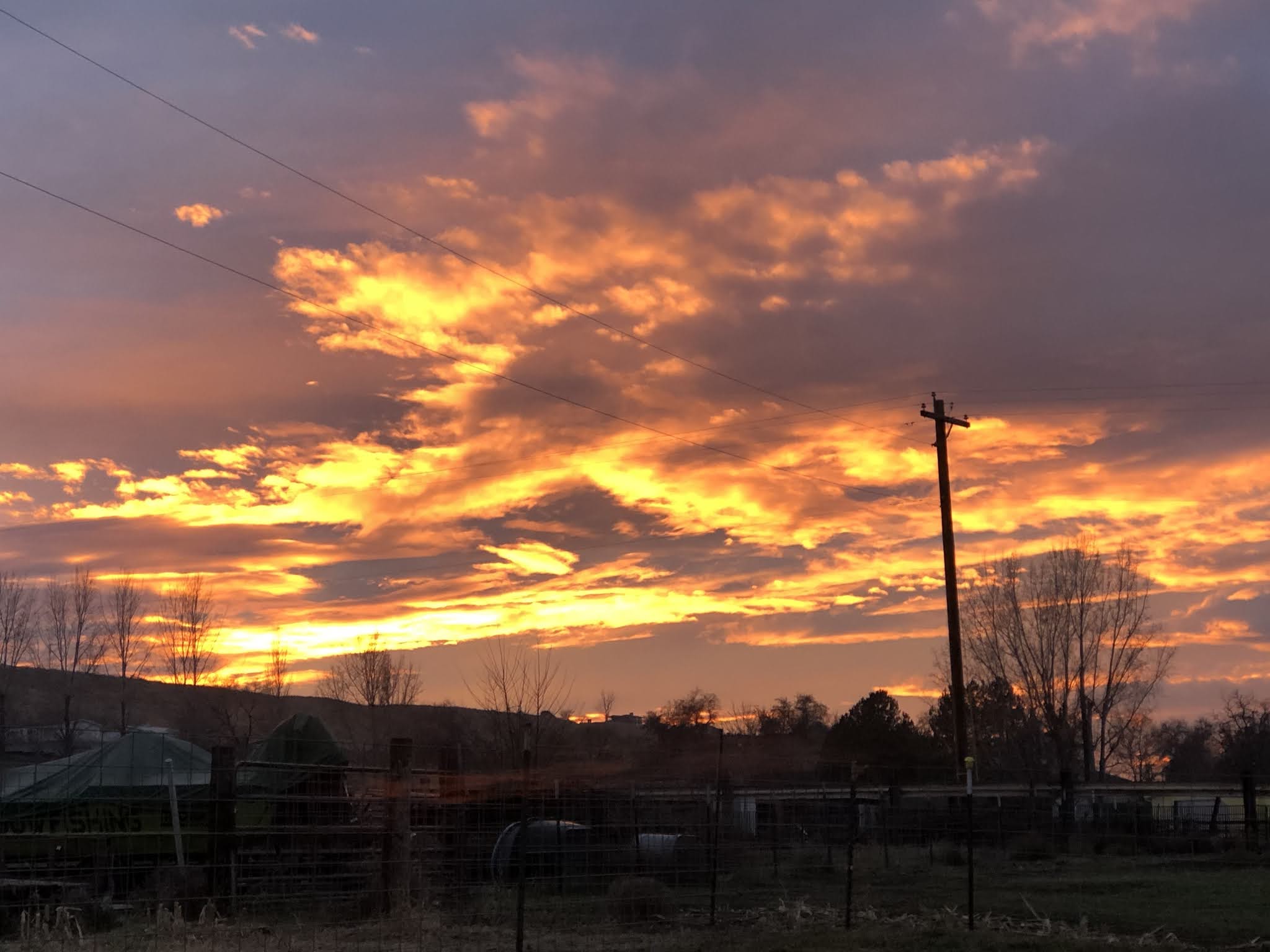 A Day in the Life of Mrs. Cravitz