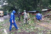 Akibat Hujan Lebat Pohon Tumbang Timpa Travo Serta Tiang Listrik  