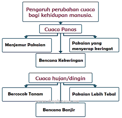 Pengaruh perubahan cuaca bagi kehidupan manusia www.simplenews.me