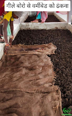 Vermicompost: वर्मीकंपोस्ट बनाने की विधि | How to Prepare Vermicompost in hindi (Part-2)