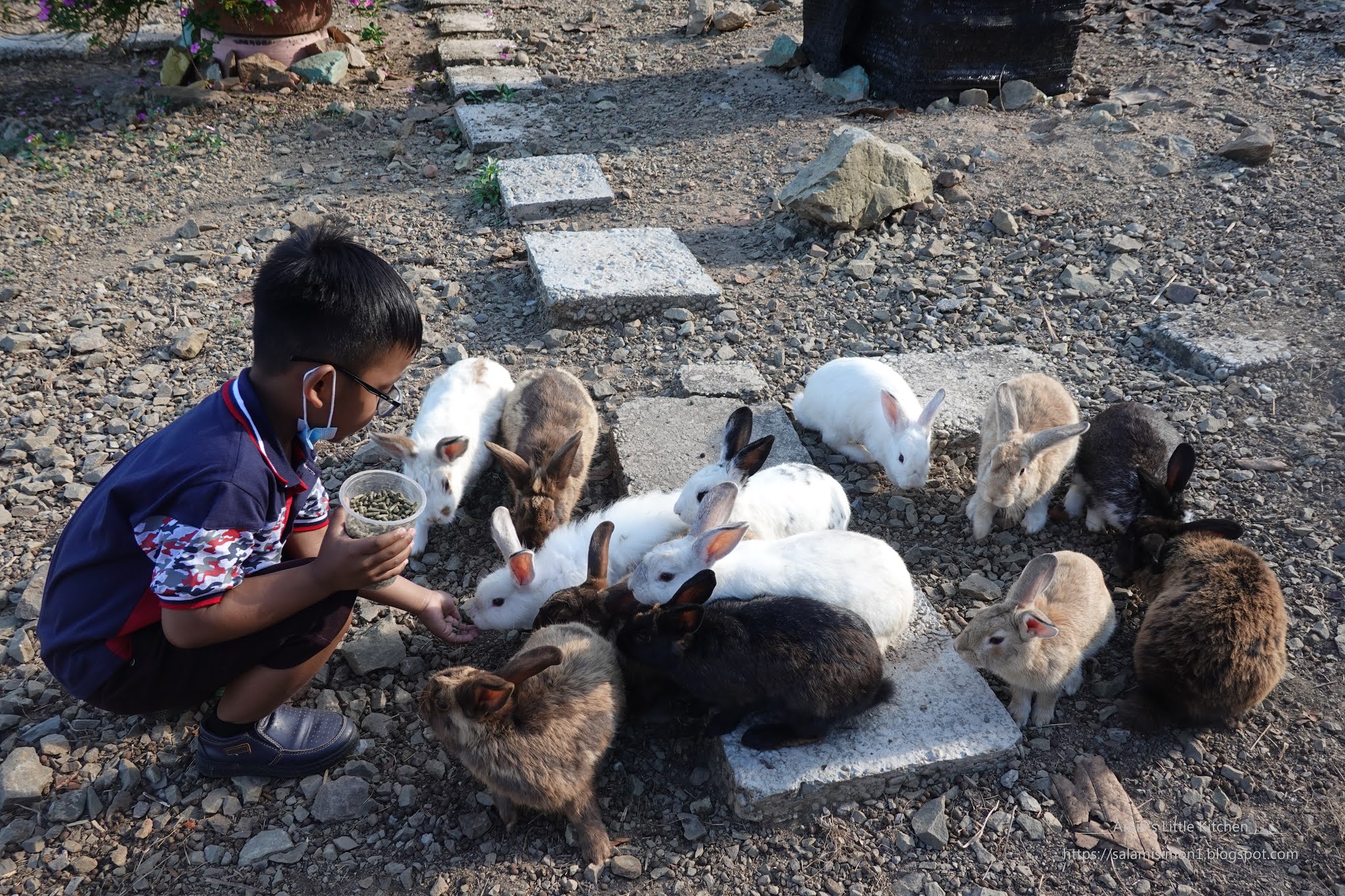 Taman Banjaran Crocker - Rabbit Farm - Keningau View - Amie's Little ...