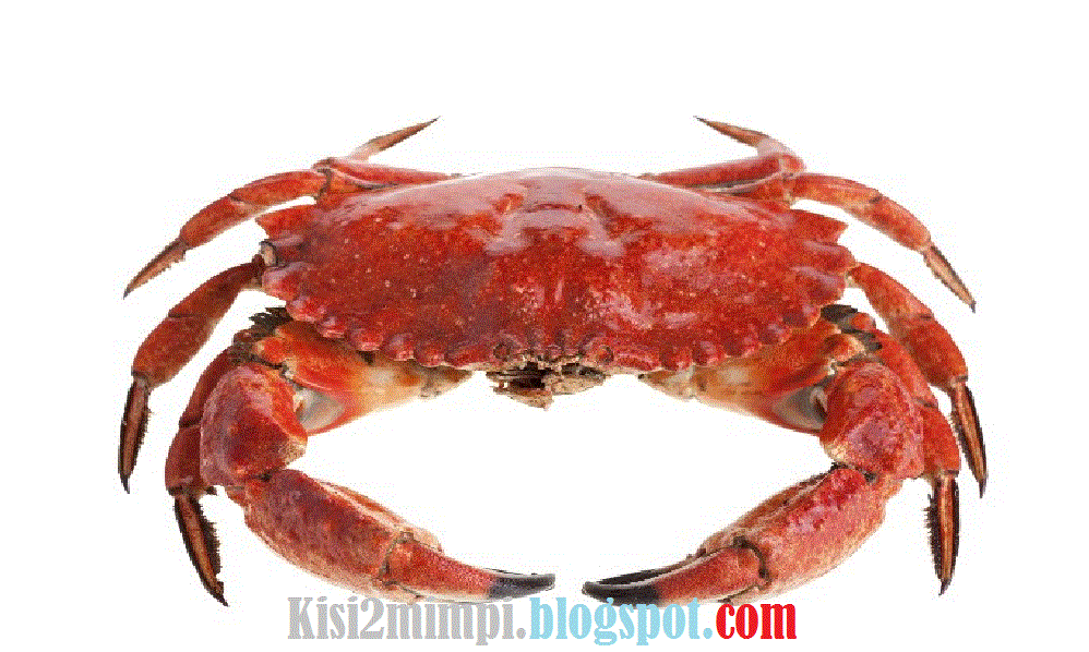 Ramalan Mimpi Kepiting Menurut Erek Erek 4d 3d 2d Ramalan Mimpi Kepiting Menurut Erek Erek 4d 3d 2d