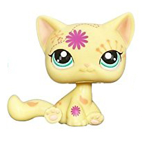 Details about   Authentic Littlest Pet Shop # 1231 Yellow Post Card Sitting Cat Flowers Swirl 