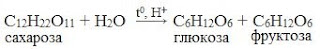 %25D1%2583%25D0%25B3%25D0%25BB%2B15 В результате чего образуются моносахариды