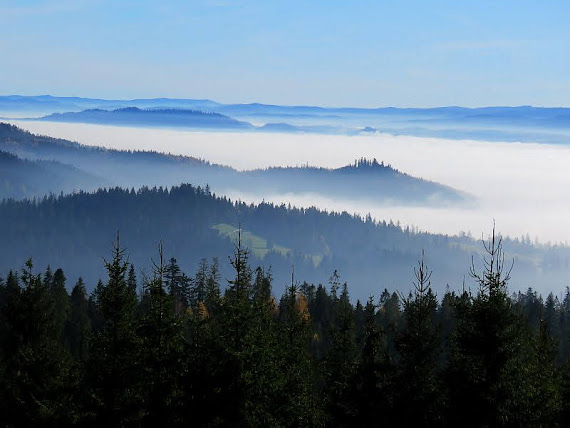 Widok na Pieniny z Matyjówki pieniny