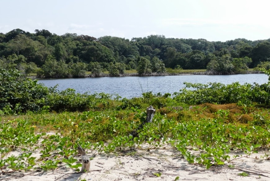 séjour au Gabon La Baie des Tortues
