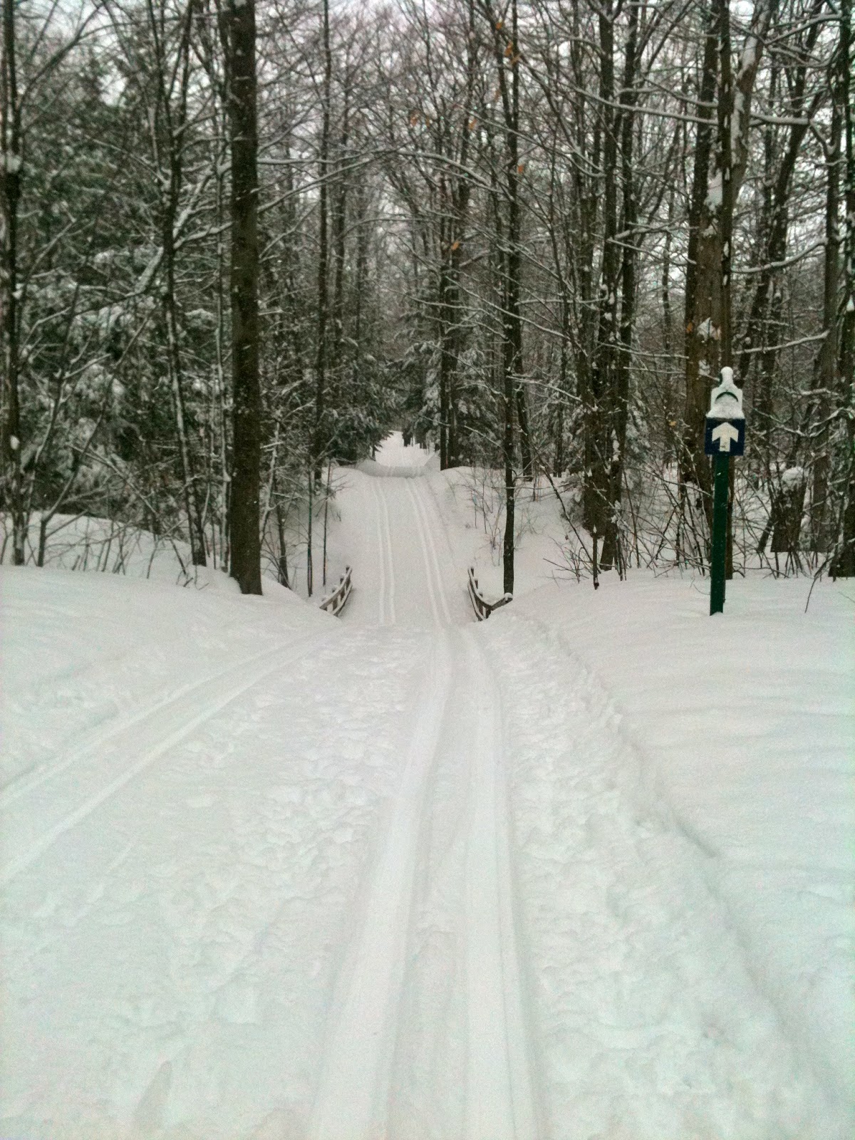 Skiglisse Ski de fond SaintFrançois