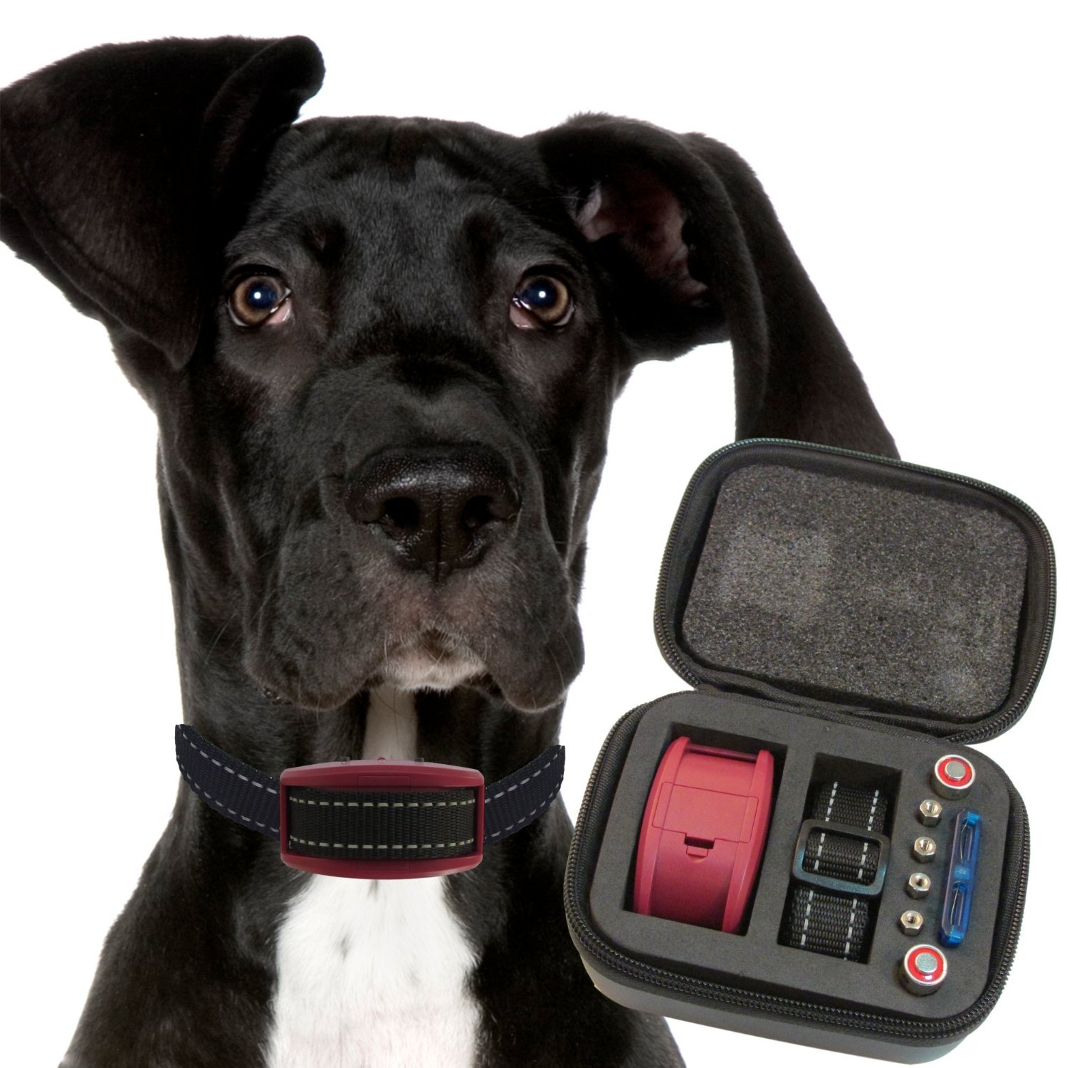 Dragonfly Treasure Our K9 Bark Collar with Case 