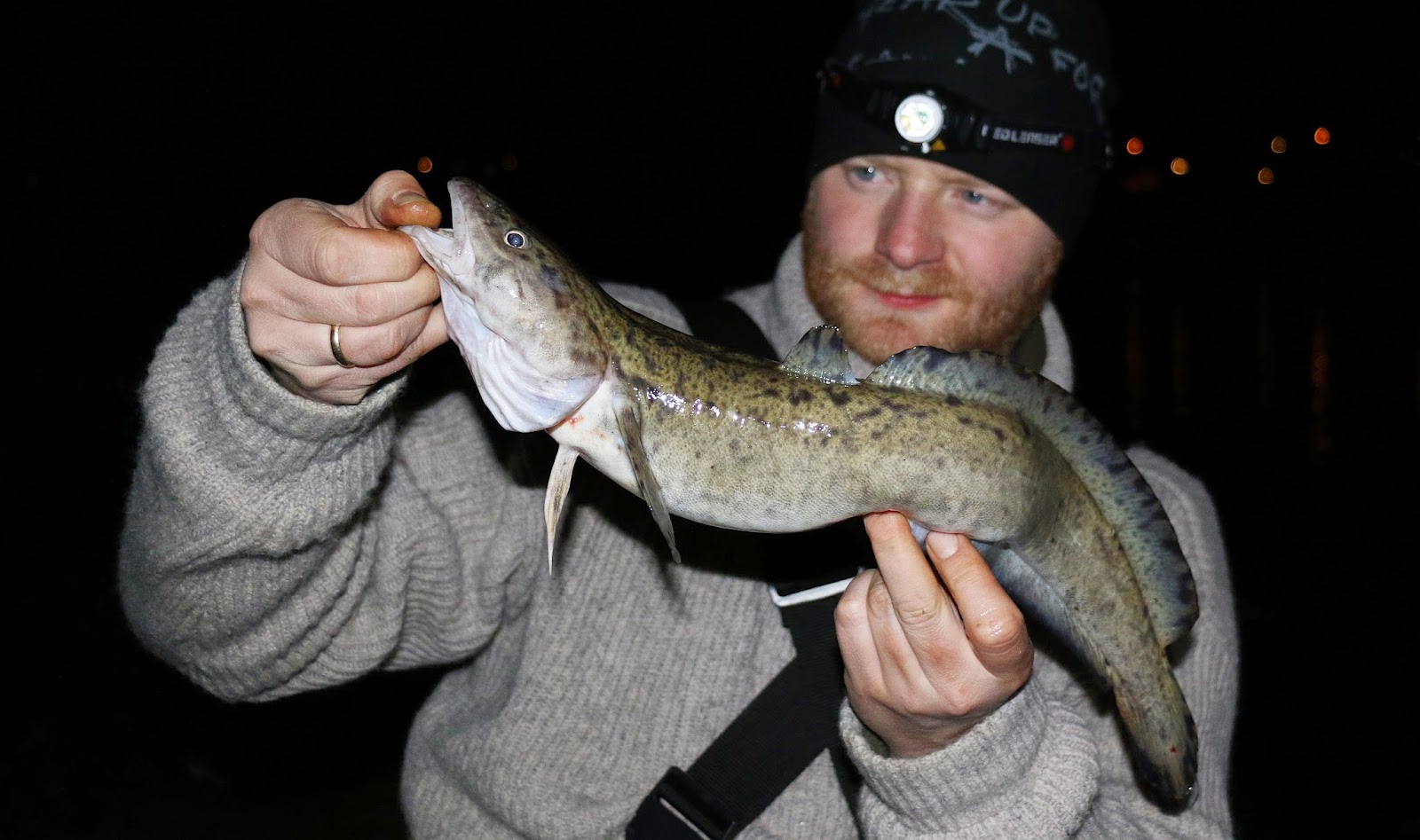 Nyhende, fiske | Endre har fiska 89 ulike artar. No inviterer han til ...