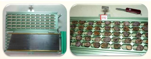 Guillotina para prueba de corte en cacao. Guillotina para análisis de prueba de corte en cacao.