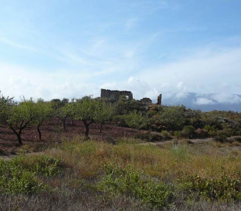 Foto de Sendero Local del Cortijo de las Paces en Almócita, Almería