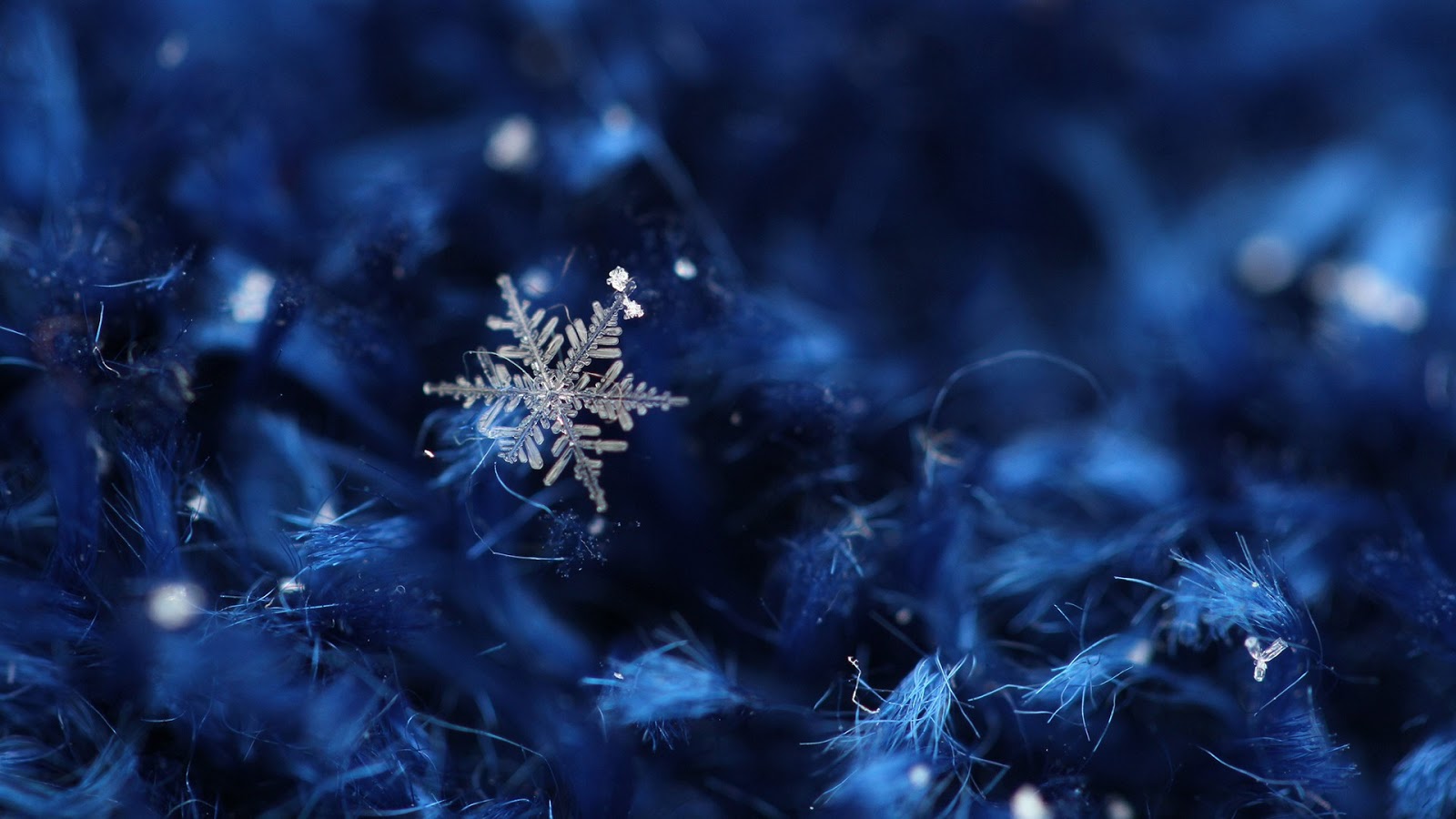 Snow Flakes HD Wallpaper - HD Wallpapers - 9to5Wallpapers