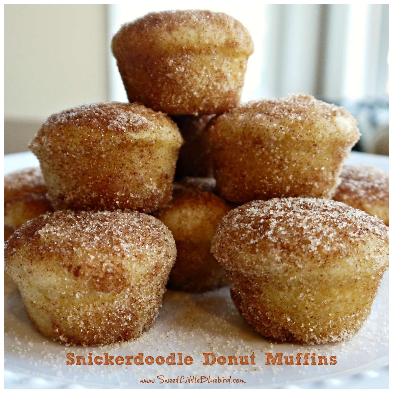 Sweet Little Bluebird: Snickerdoodle Donut Muffins