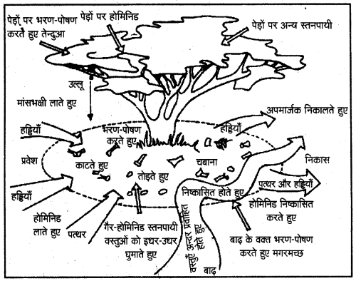 Solutions Class 11 Hindi– विश्व इतिहास के कुछ विषय Chapter 1–(समय की शुरुआत से)