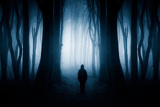 Paranormal Existence- Myth for many 