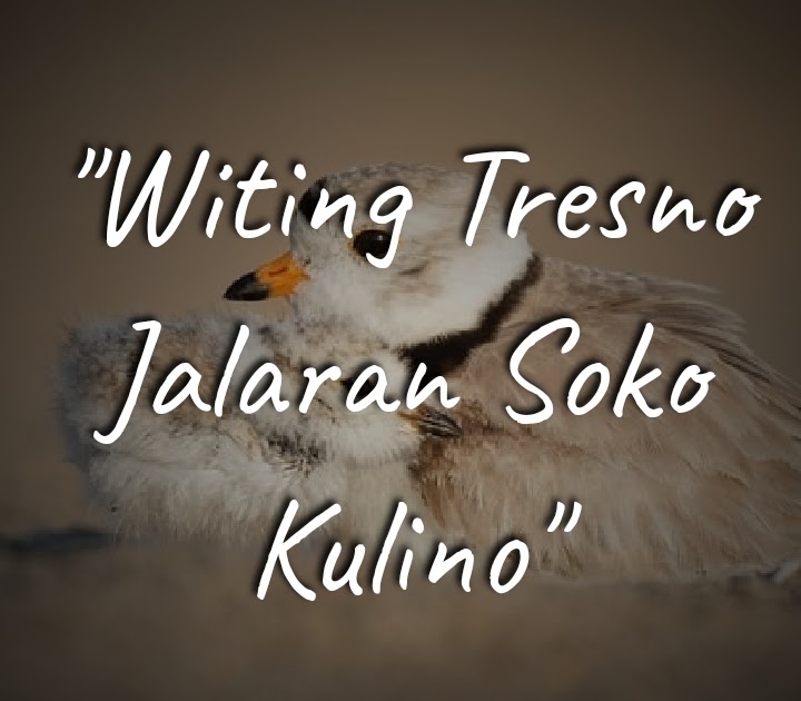 "Witing Tresno Jalaran Soko Kulino", Ungkapan Jawa yang "Witing Tresno Jalaran Soko Kulino", Ungkapan Jawa yang