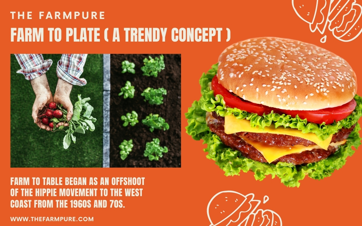 What Is Farm To Plate The FarmPURE