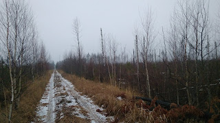 ПВД3Д - Мещёра: Черусти-Спасск Рязанский, через Голованово