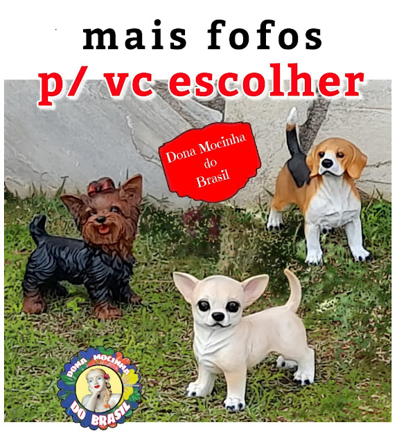 YORKSHIRE, BEAGLE, CHIHUAHUA, SCHNAUZER