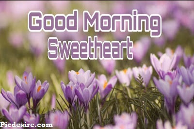 Good Morning Sweetheart, Best 20 Images of Good morning Sweetheart Good Morning Sweetheart, Best 20 Images of Good morning Sweetheart
