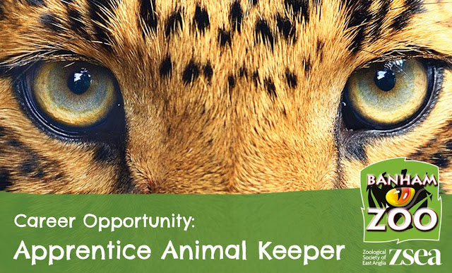 Zoo Jobs: Apprentice Animal Keeper