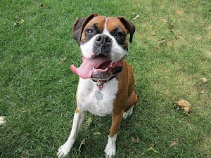 Bad Sports Judge Maggie Mae