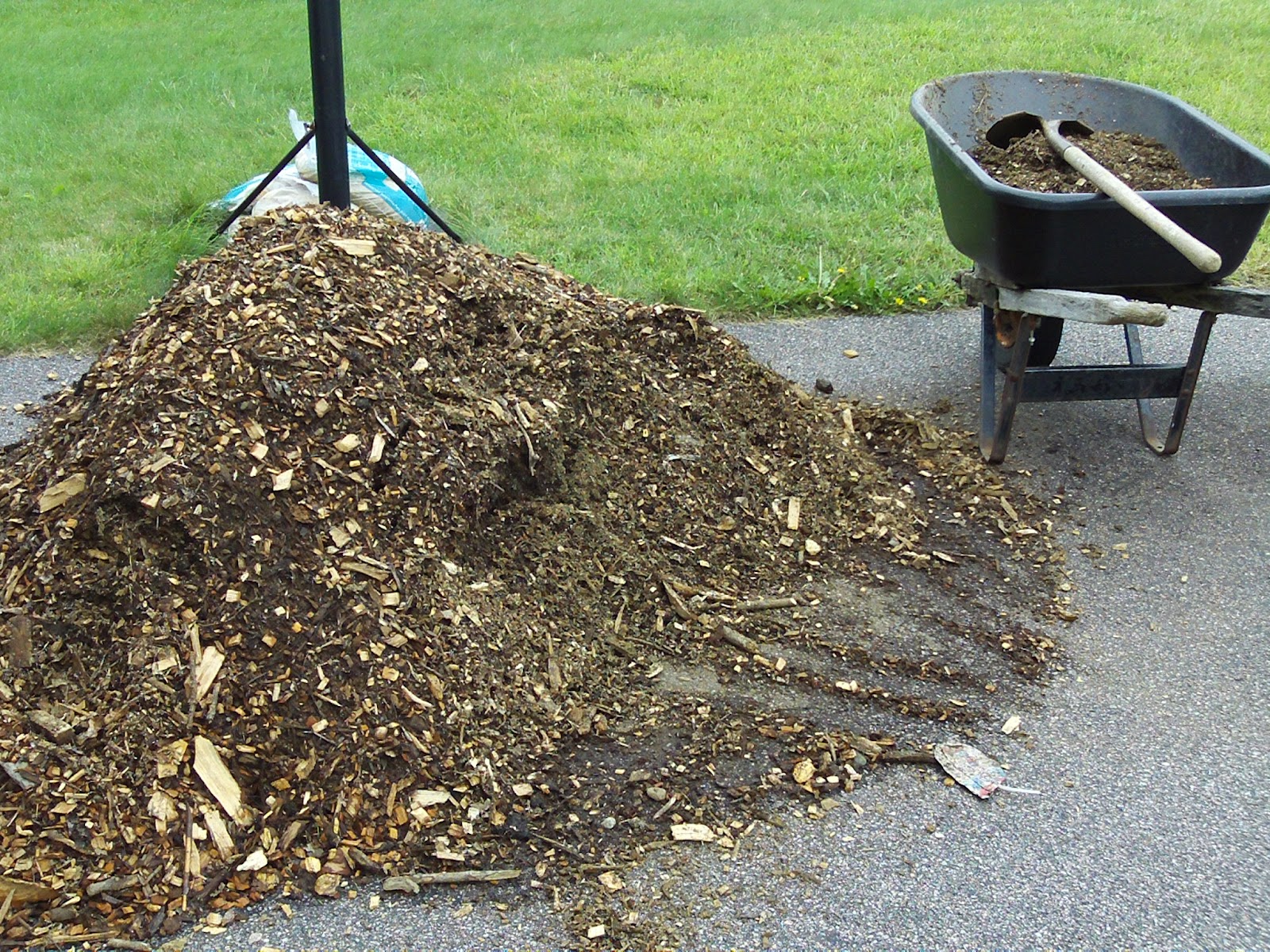 Dave's garden Applying wood chip mulch