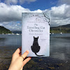 Travelling Cat Chronicles Review