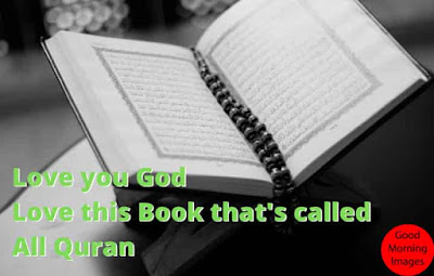 Love God Love All Quran