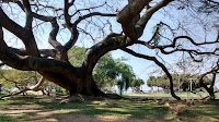 Parque do Flamengo