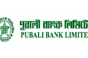 Pubali bank limited