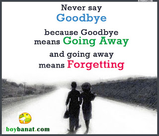 Goodbye Quotes and Goodbye Sayings ~ Boy Banat