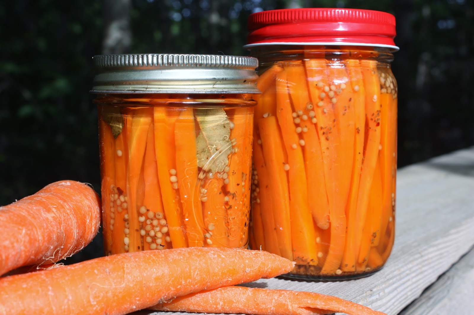 Best of Long Island and Central Florida Pickled, Spicy Carrot Sticks